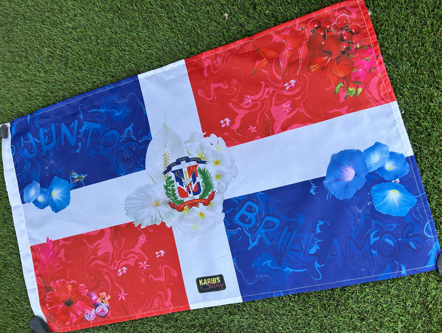 Drapeaux - Repùblica Dominicana