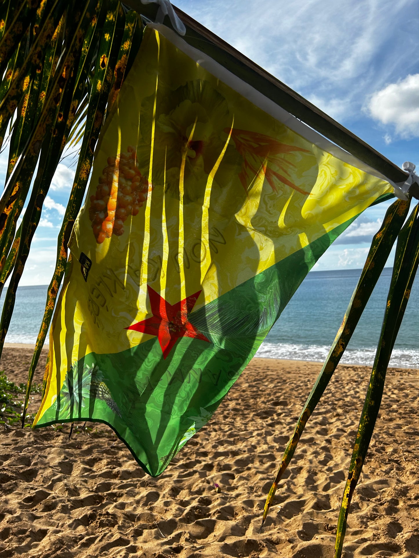 Drapeaux - Guyane - V.2.0