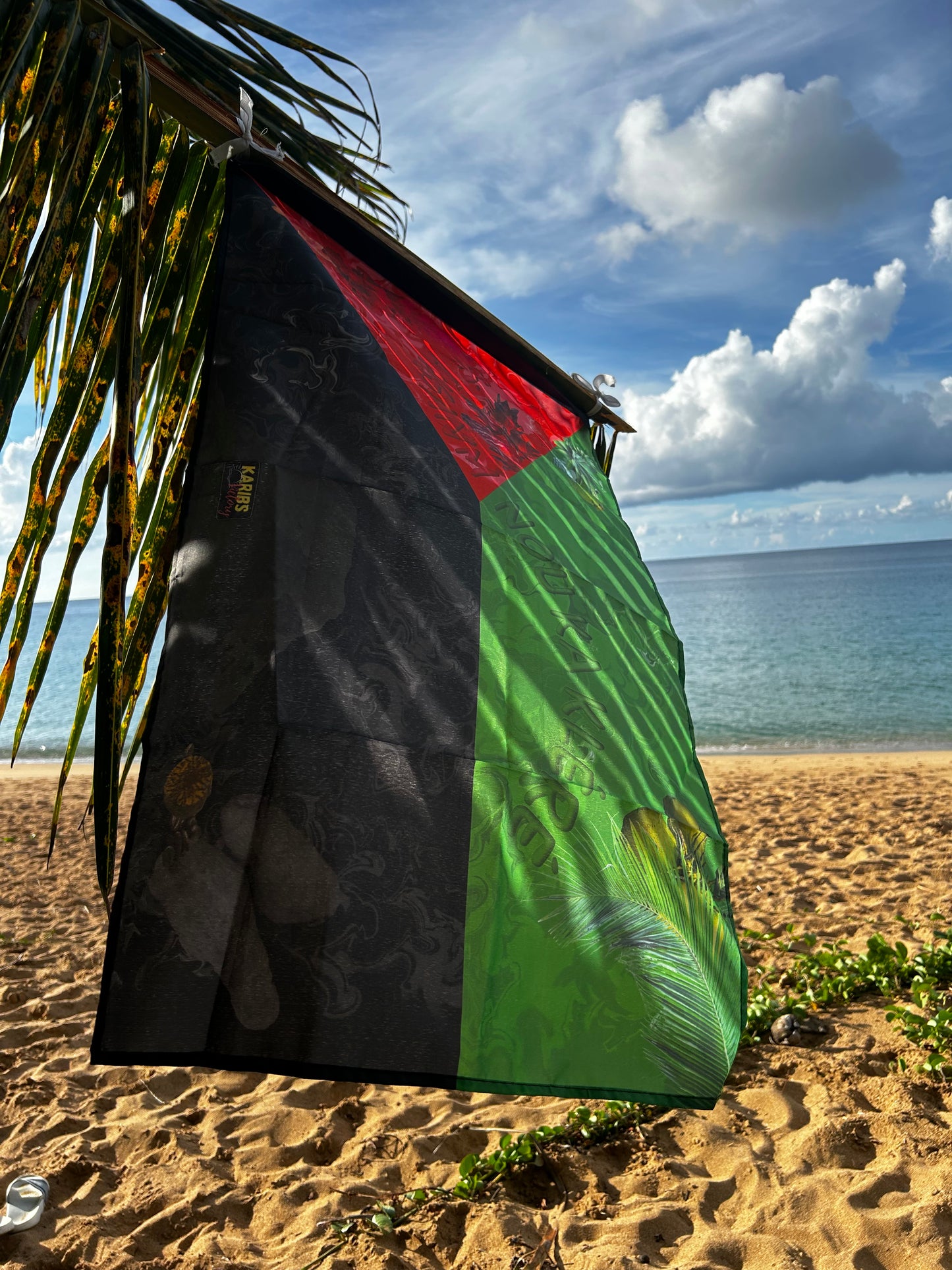 Drapeaux - Martinique - V.2.0