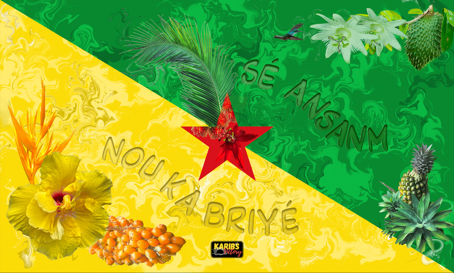 Drapeaux - Guyane - version 1
