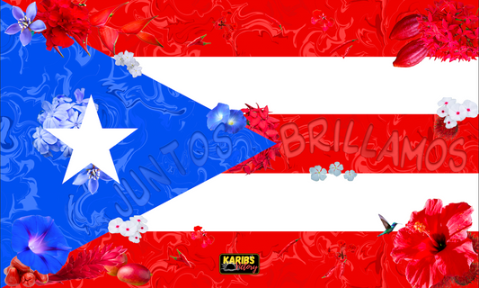 Drapeaux - Puerto Rico