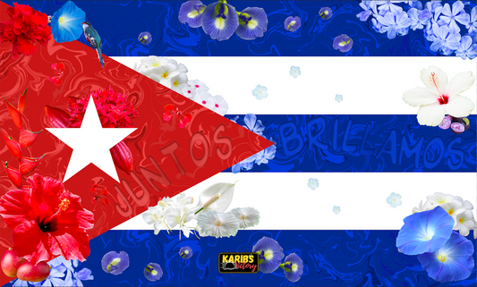 Drapeaux - Cuba