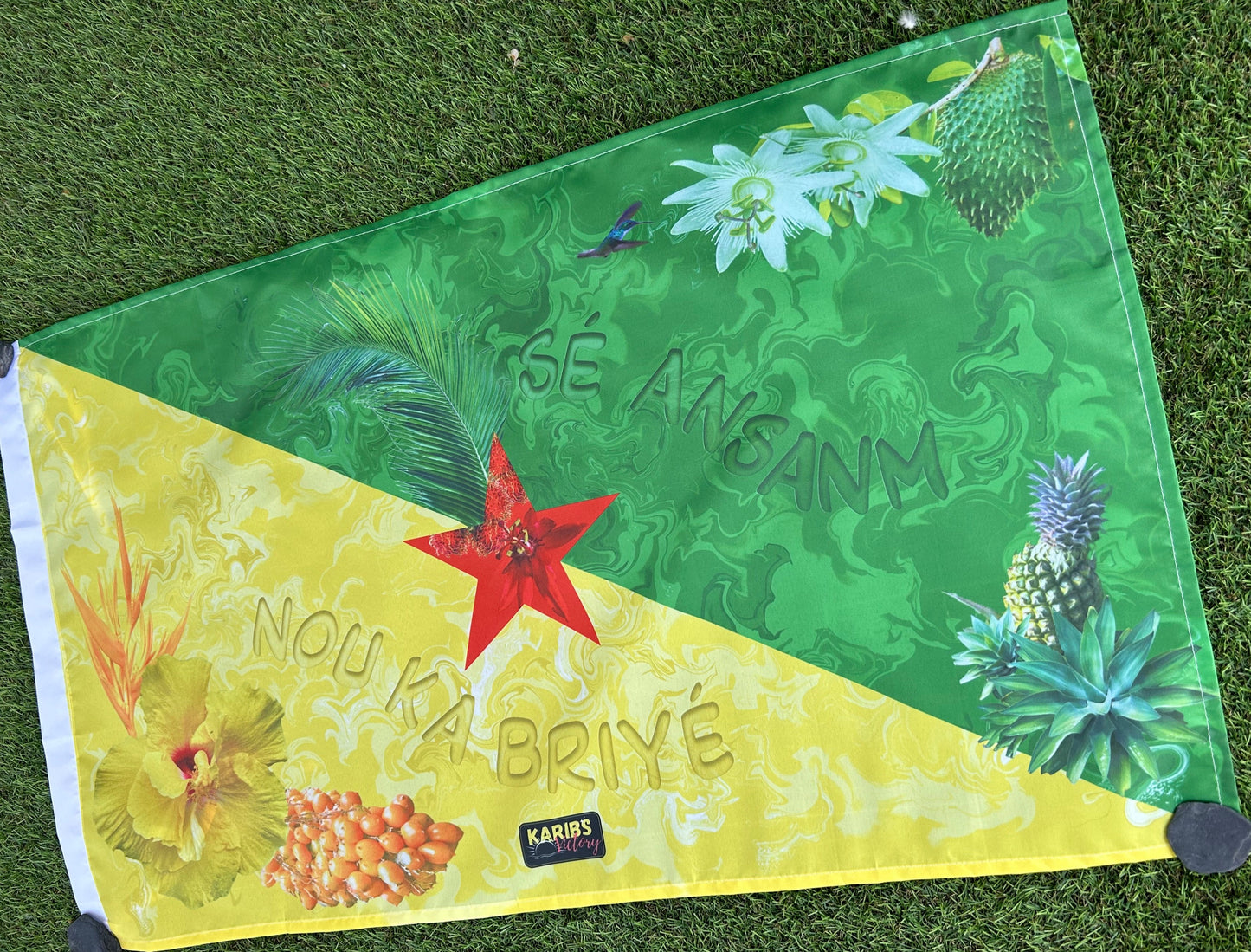 Drapeaux - Guyane - version 1