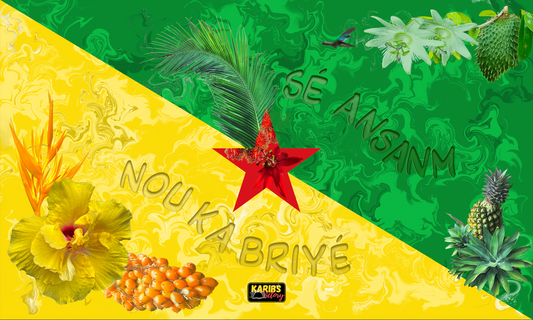 Drapeaux - Guyane - version 1